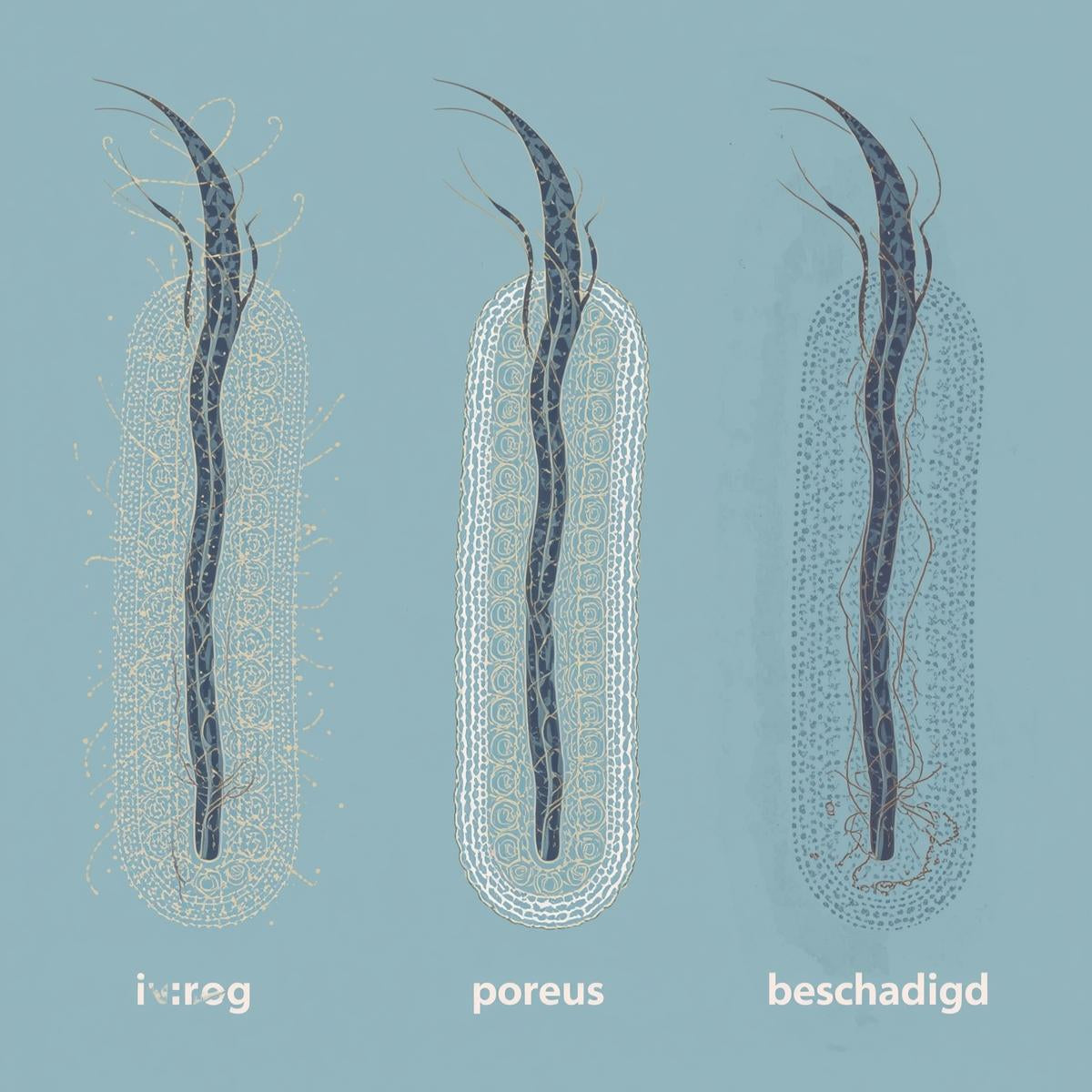 Droog, poreus of beschadigd? Stel de juiste haardiagnose