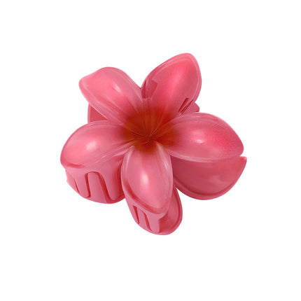 Haarclip met gradiëntbloem Hawaii love