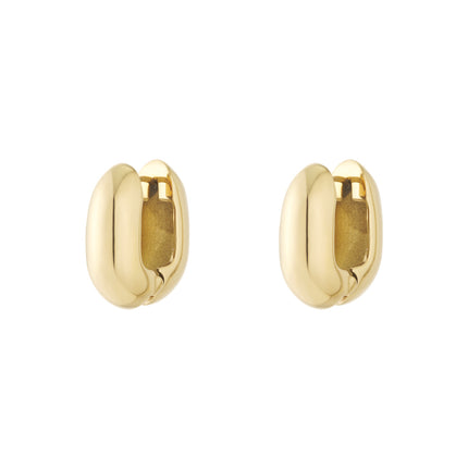   Creolen onregelmatige vorm rechthoek Casual Dagelijks Eenvoudig Serie Dames sieraden