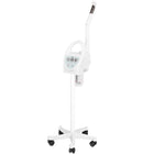 wapozon-azzurro-1106-sonia-3021