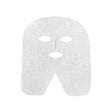 Disposable Masks
