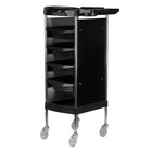 gabbiano-hairdressing-assistant-fx11-b-black-2015