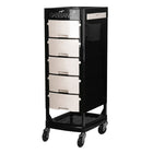 gabbiano-hairdressing-assistant-ft65-black-white-2036