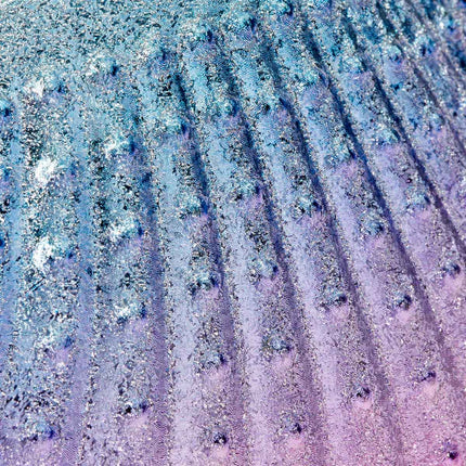 shell-shaped-dusting-brush-4039