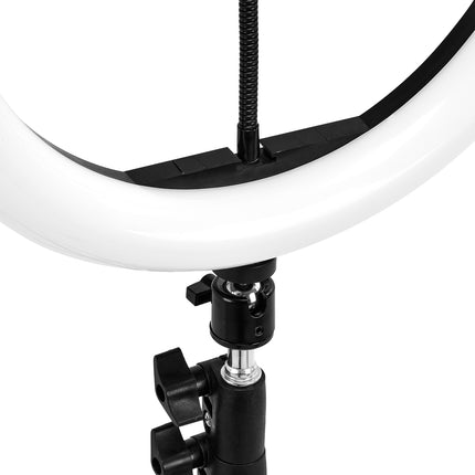 glow-10-bsc-rgb-ring-lamp-tripod-10w-1497