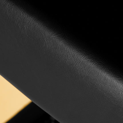 gabbiano-hairdressing-chair-turyn-black-gold-4652