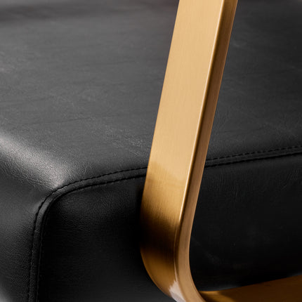 gabbiano-porto-hair-wash-unit-gold-black-619
