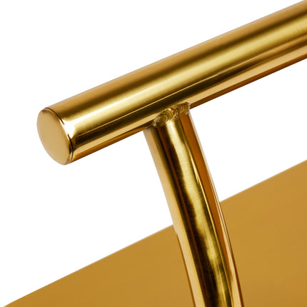 hairdressing-footstool-l005s-gold-4778