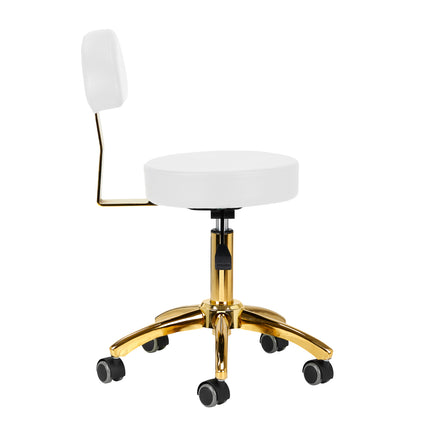 cosmetic-stool-am-304g-white-49