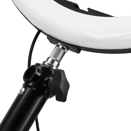 ring-lamp-hanger-1748