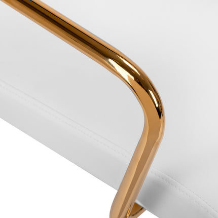 cosmetic-chair-qs-of211g-gold-light-grey-4325