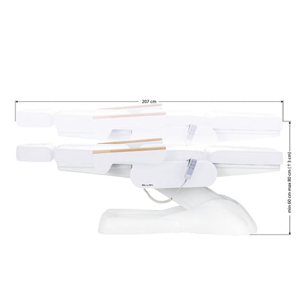 electric-cosmetic-chair-sillon-lux-273b-3-motors-cold-white-5266