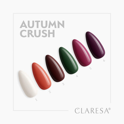 claresa-hybrid-nail-polish-autumn-crush-2-5g-5863
