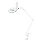 Magnifying lamp Elegante 6031, 60 SMD 3D LEDs, for tabletops, with adjustable light intensity