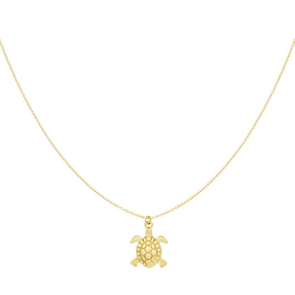 turtle tides ketting