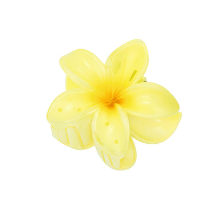 Haarclip met gradiëntbloem Hawaii love