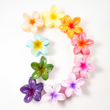 Haarclip met gradiëntbloem Hawaii love