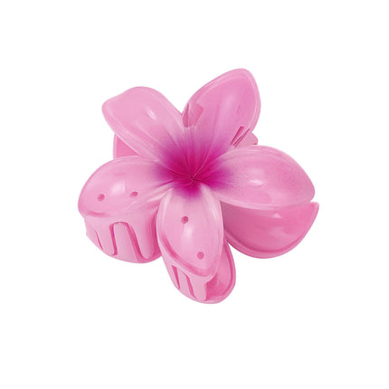 Haarclip met gradiëntbloem Hawaii love