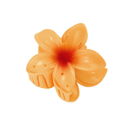 Haarclip met gradiëntbloem Hawaii love