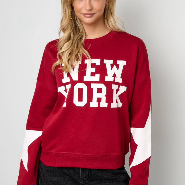 New York sweater met ster