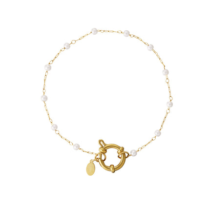 Roestvrijstalen kettingarmbanden, ketting DIY, dagelijkse eenvoudige serie, damessieraden