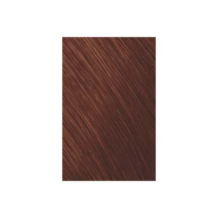 Goldwell Topchic Hair Color Bus 250ml