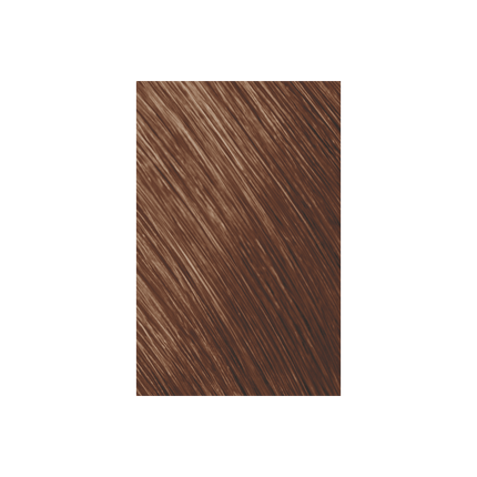 Goldwell Topchic Hair Color Bus 250ml