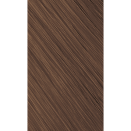 Goldwell Topchic Hair Color Bus 250ml