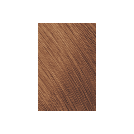 Goldwell Topchic Hair Color Bus 250ml