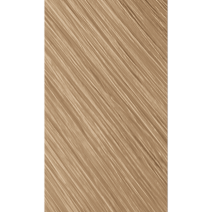 Goldwell Topchic Hair Color Bus 250ml