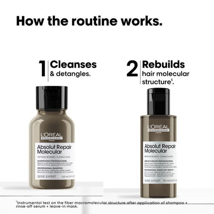 L'Oréal Absolut Repair Molecular Mini Duo Kit