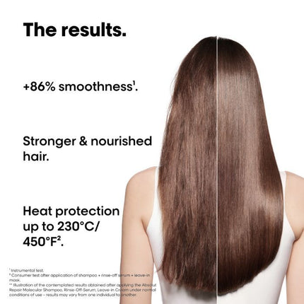 L'Oréal Absolut Repair Molecular Mini Duo Kit