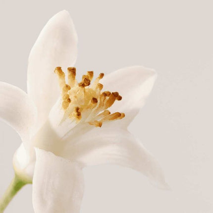 Payot Nue Mousse Nettoyante Douceur 150ml