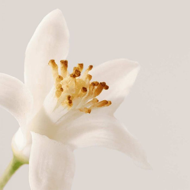 Payot Nue Mousse Nettoyante Douceur 150ml