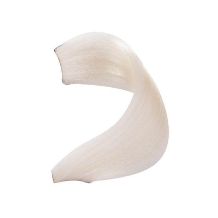 Fanola No Yellow Color 100ml