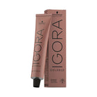 Schwarzkopf Igora Color 10 60ml