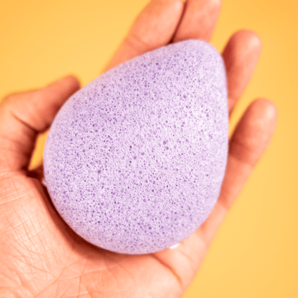 ShampooBars Éponge Konjac peau combinée, Lavande