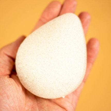 ShampooBars Konjac spons