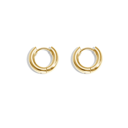 Basic creolen oorbellen - mini Stainless Steel